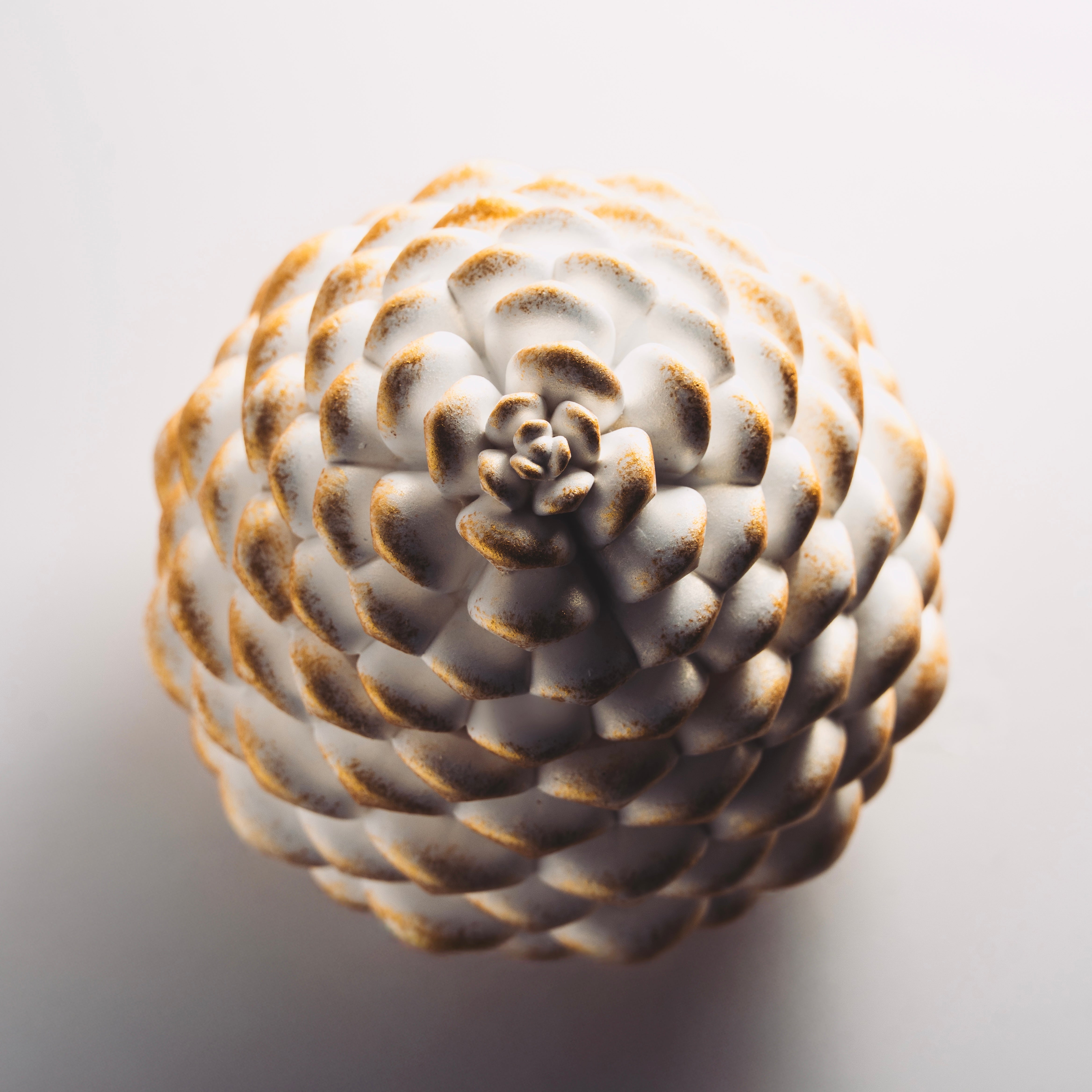 Golden Fir Pinecone Soy Candle